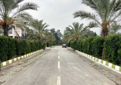 فروش زمین شهرک رایکا نوشهر